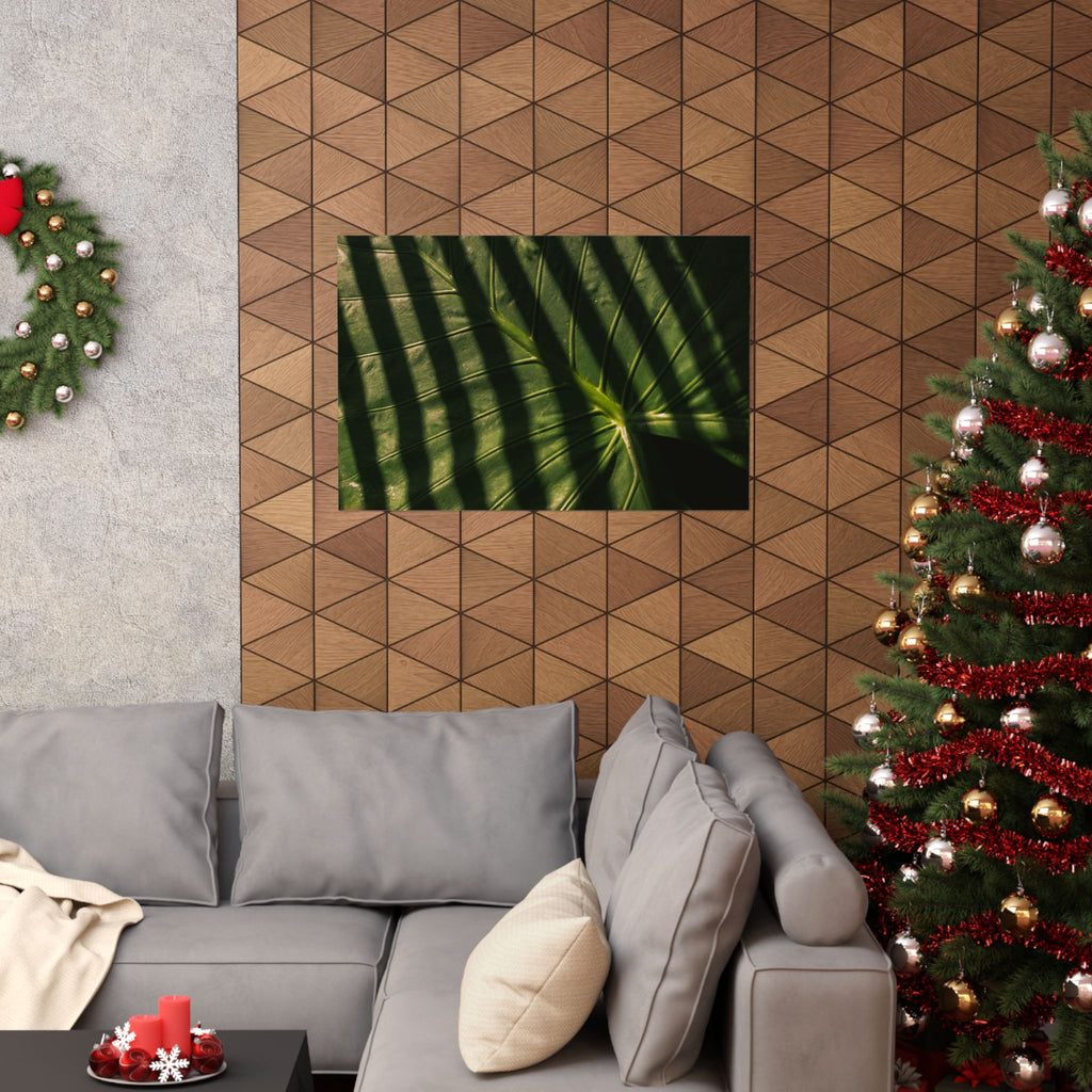 Elephant Ear Plant Matte Horizontal Poster — Cinematic Botanical Wall Art