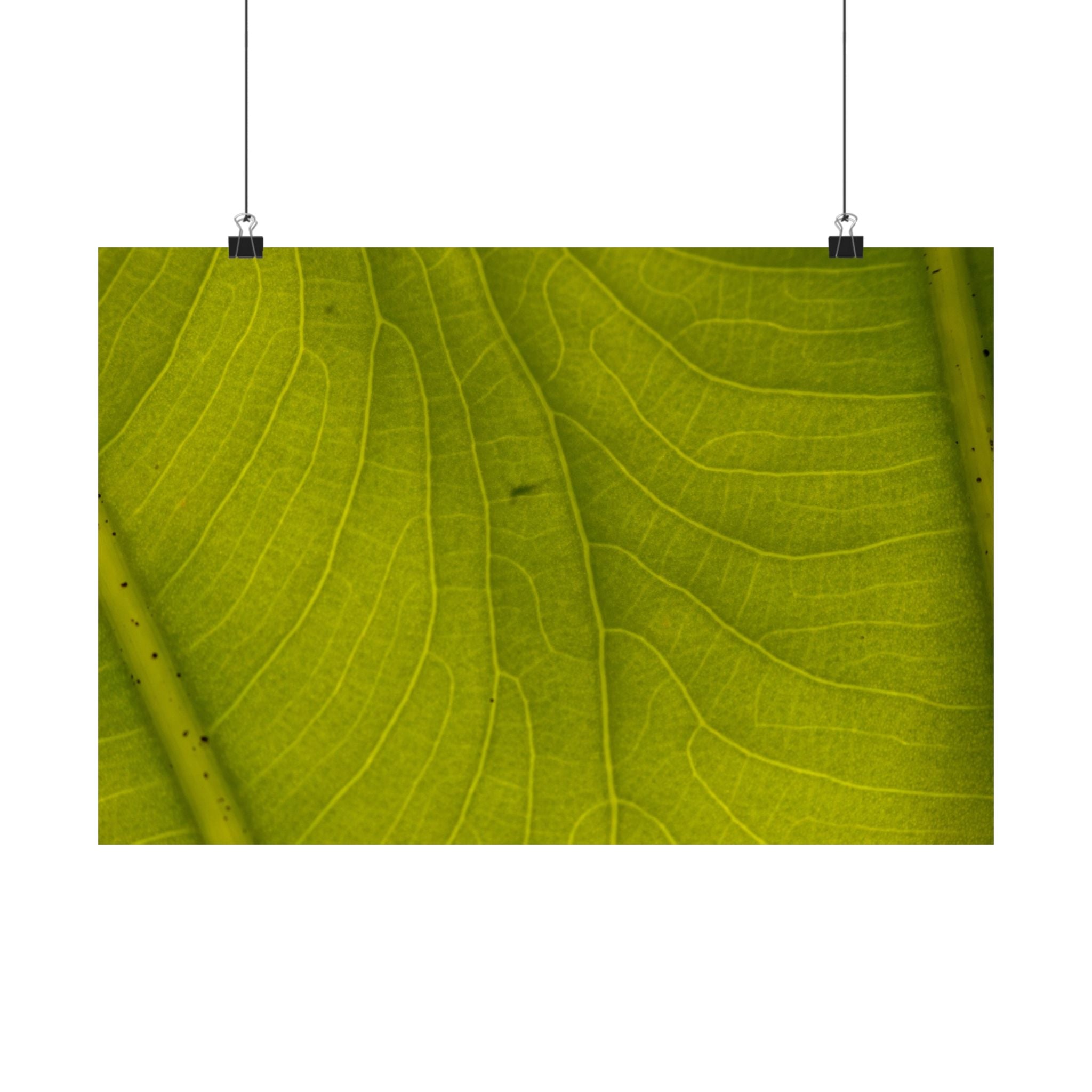 Botanical Leaf Close-Up Matte Poster — Green Nature Wall Art (Horizontal)