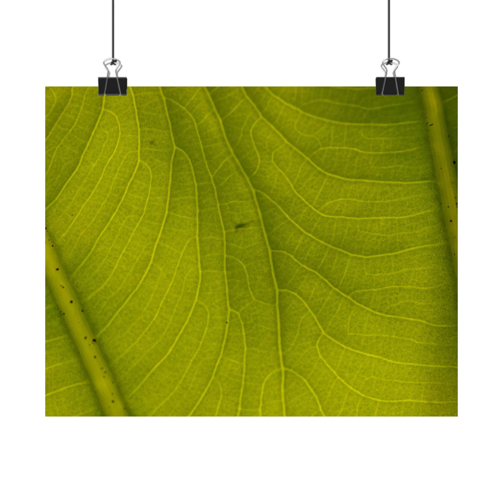 Botanical Leaf Close-Up Matte Poster — Green Nature Wall Art (Horizontal)