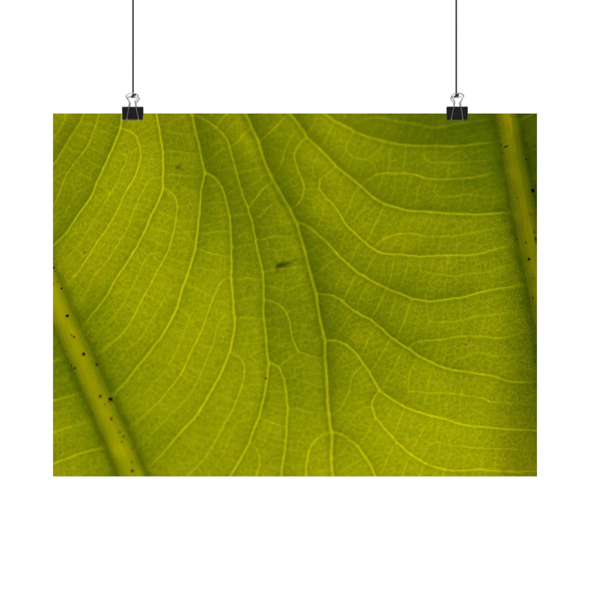 Botanical Leaf Close-Up Matte Poster — Green Nature Wall Art (Horizontal)