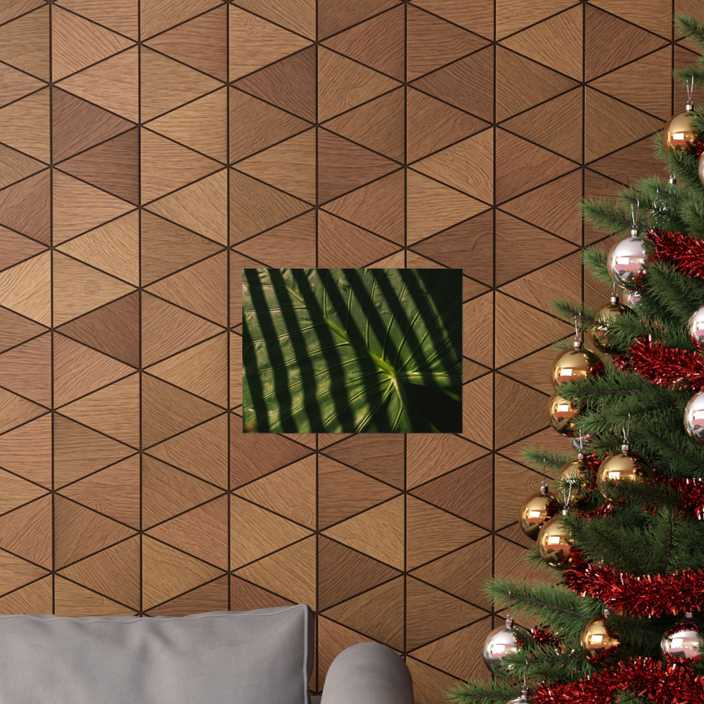 Elephant Ear Plant Matte Horizontal Poster — Cinematic Botanical Wall Art