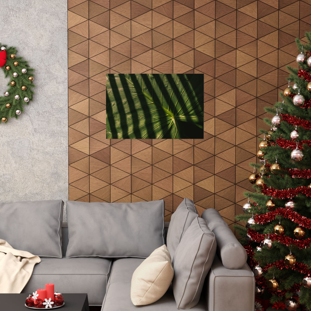 Elephant Ear Plant Matte Horizontal Poster — Cinematic Botanical Wall Art