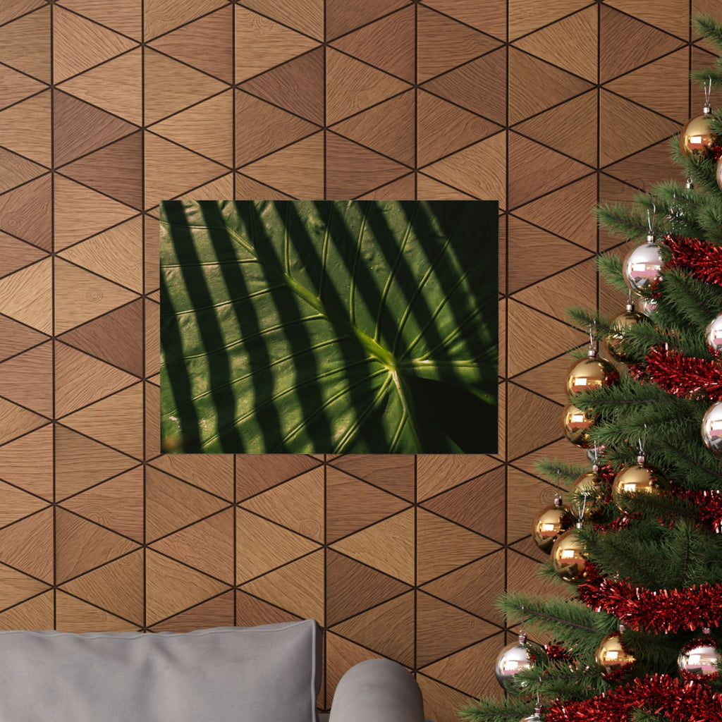 Elephant Ear Plant Matte Horizontal Poster — Cinematic Botanical Wall Art