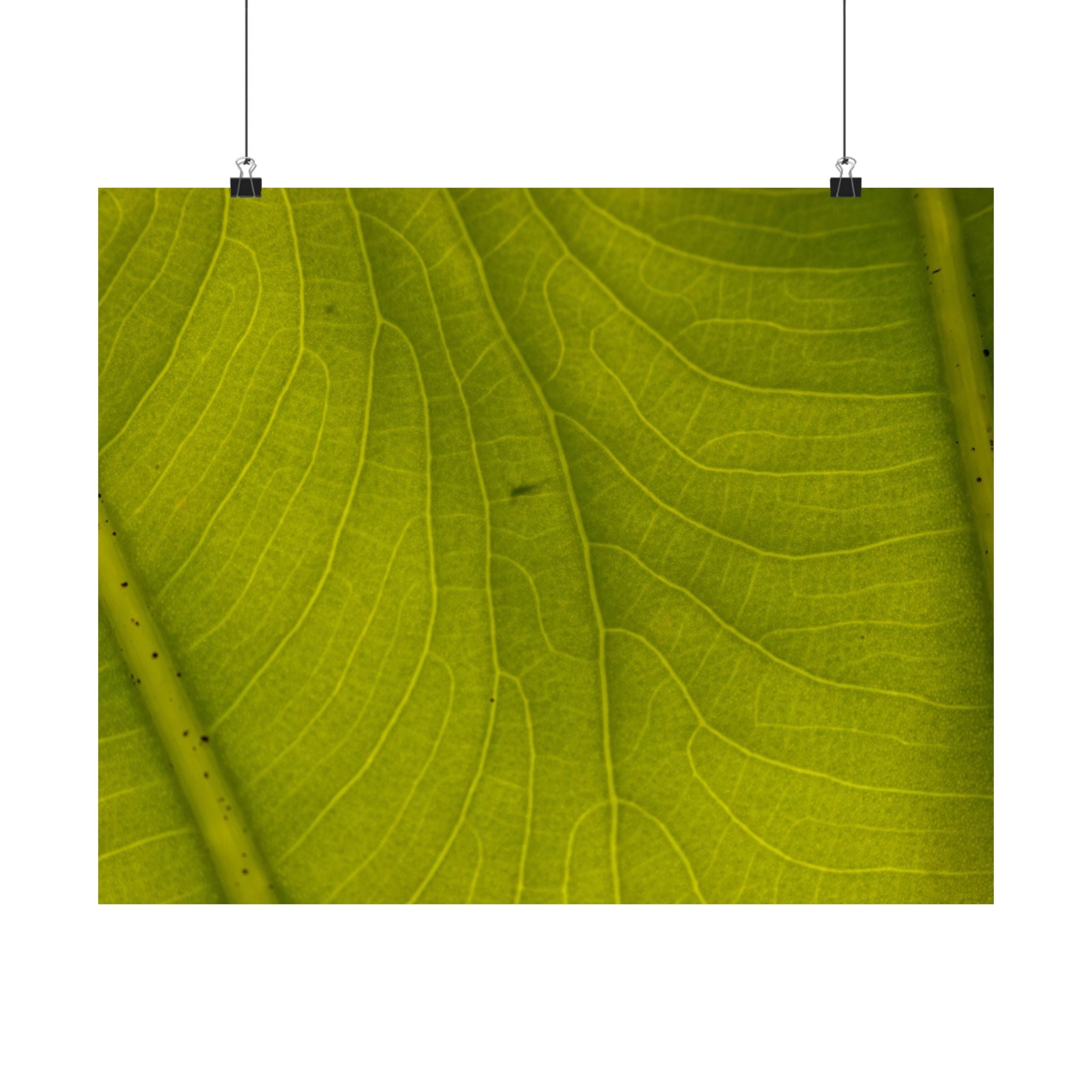 Botanical Leaf Close-Up Matte Poster — Green Nature Wall Art (Horizontal)